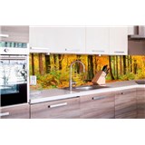 Samolepící tapety za kuchyňskou linku les na podzim rozměr 260 cm x 60 cm - POSLEDNÍ KUSY
