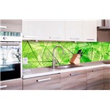 Samolepící tapety za kuchyňskou linku listové žíly rozměr 260 cm x 60 cm - POSLEDNÍ KUSY