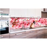 Samolepící tapety za kuchyňskou linku jabloňově květy rozměr 260 cm x 60 cm - POSLEDNÍ KUSY