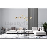 Lamelové dekorační panely ASTI stříbrná lišta 12,2 x 270 cm - POSLEDNÍ KUSY