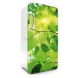 Samolepící tapety na lednici zelené listy rozměr 120 cm x 65 cm - POSLEDNÍ KUSY