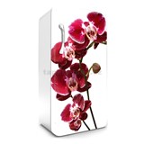 Samolepící tapety na lednici orchidej rozměr 120 cm x 65 cm - POSLEDNÍ KUSY