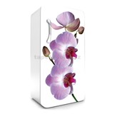 Samolepící tapety na lednici fialová orchidej rozměr 120 cm x 65 cm
