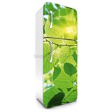 Samolepící tapety na lednici zelené listy rozměr 180 cm x 65 cm - POSLEDNÍ KUSY