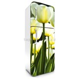 Samolepící tapety na lednici žluté tulipány rozměr 180 cm x 65 cm - POSLEDNÍ KUSY
