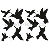 Samolepky na zeď - ptáci kolibřící 45 x 65 cm