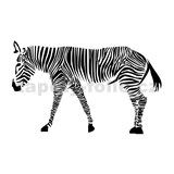 Samolepky na zeď zebra