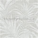 Vliesové tapety na zeď IMPOL NEU listy palmy bílo-šedé metalické na šedém podkladu
