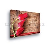 Obraz na plátně tulipány na dřevě 100 x 75 cm - POSLEDNÍ KUS