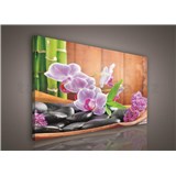 Obraz na plátně orchidej s kameny 75 x 100 cm
