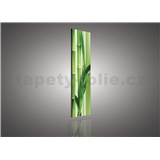 Obraz na plátně bambus 145 x 45 cm