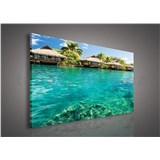 Obraz na plátně Maledivy 75 x 100 cm