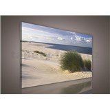 Obraz na plátně písečná pláž 75 x 100 cm