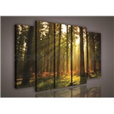 Obraz na plátně les s východem slunce 150 x 100 cm