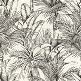 Vliesové tapety na zeď IMPOL černobílé listy palmy a banánovníku
