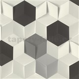 Vliesové tapety na zeď IMPOL hexagony 3D bílé, šedé, černé