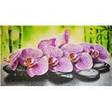 Obkladové panely 3D PVC rozměr 1002 x 602 mm orchidej na kamenech