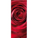 Vliesové fototapety růže rozměr 92 cm x 220 cm - POSLEDNÍ KUSY