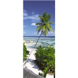 Vliesové fototapety palma na pláži rozměr 92 cm x 220 cm