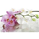 Dekorativní prostírání na stůl ORCHID rozměr 250 x 410 mm