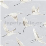 Vliesové tapety na zeď volavky
