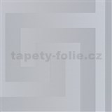 Luxusní vliesové tapety na zeď Versace III řecký vzor stříbrný